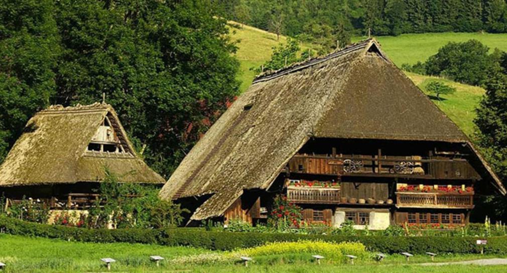 Scheune Anni Gutach Zewnętrze zdjęcie